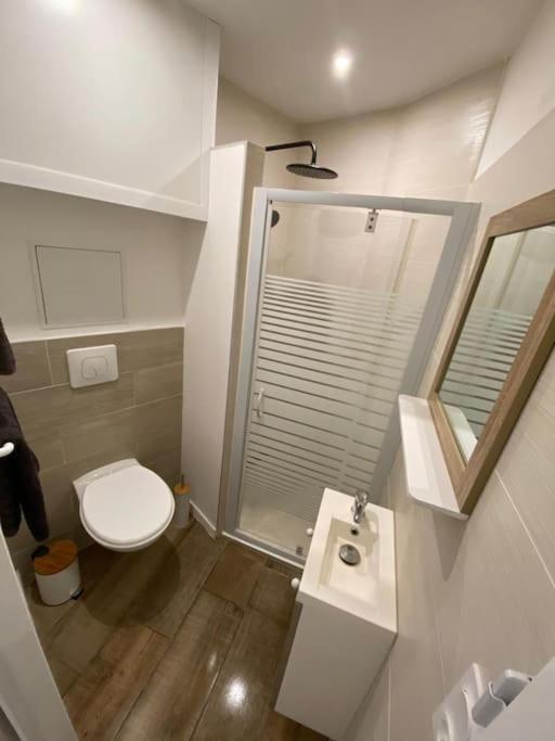 Le Pti'Toulousain 9 - Studio Centre Toulouse Ngoại thất bức ảnh